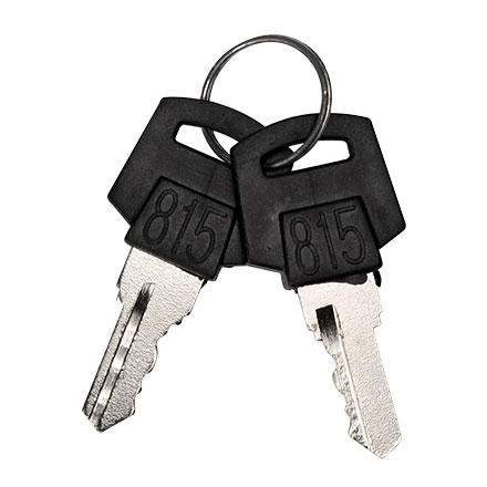 Pair of Keys for CON1015/1029 CONKEYS
