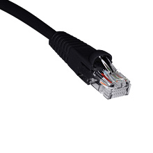 100FT CAT6 PATCH CABLE SKL30100K