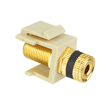 Skywalker Signature Series Keystone Audio Binding Post Insert with Black Band, Ivory SKY20209BI